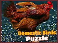 image Domestic Birds Puzzle