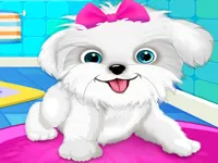 image Puppy: Pet Salon & Dog Daycare