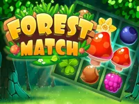 image Forest Match