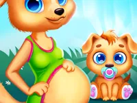 image Cute Puppy Pregnant