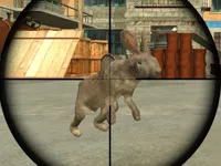 image Rabbit Shooter