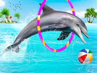 image Dolphin Water Stunts Show