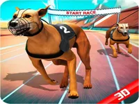 image Crazy Dog Race