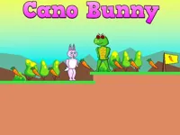 image Cano Bunny