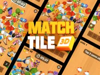image Match Tile 3D